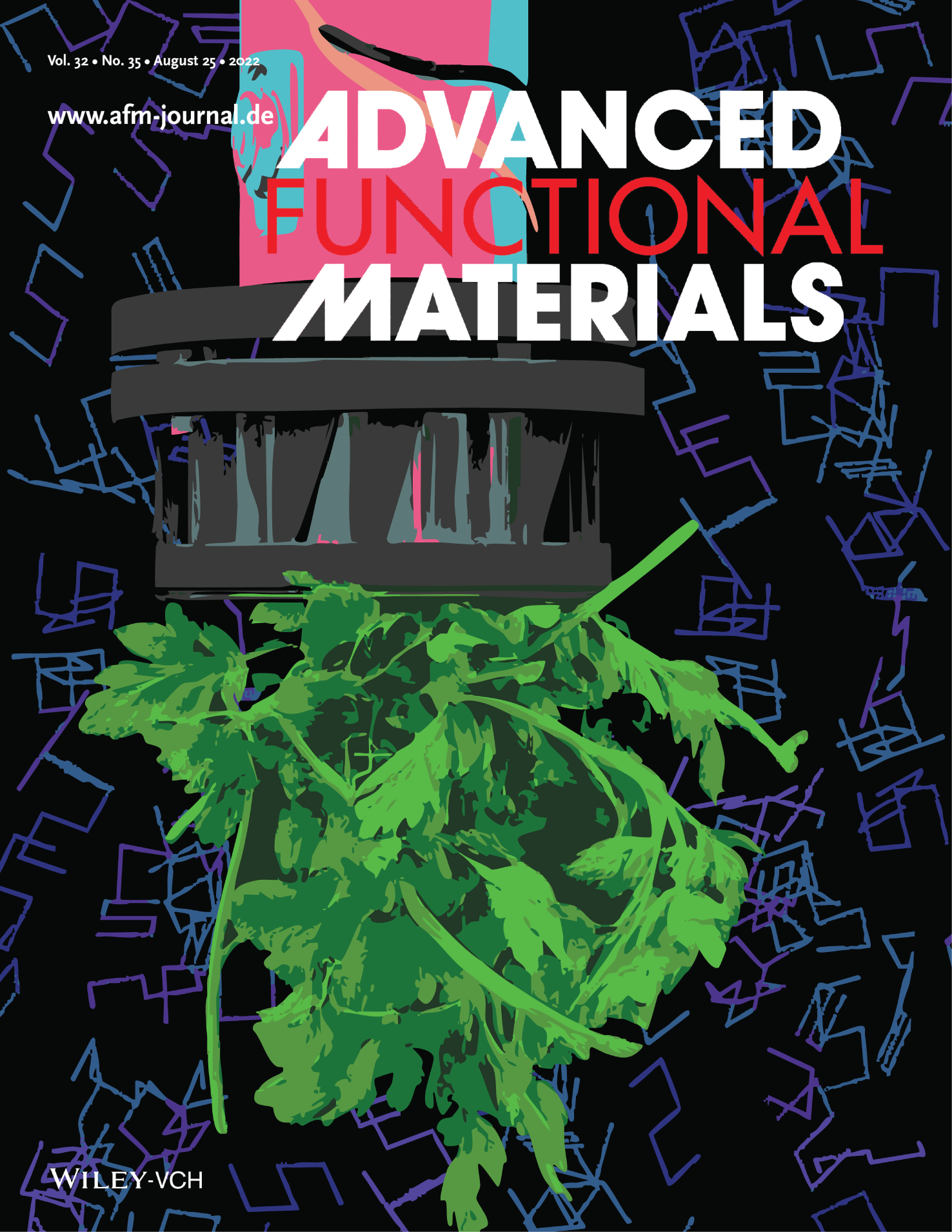 Advanced Functional Materials 41/2025 cover — programmable granular entanglement