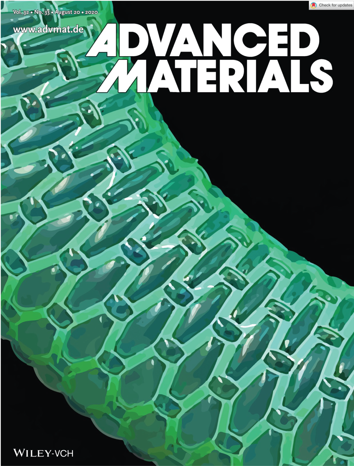 Advanced Materials 33/2020 cover — kirigami-inspired inflatables